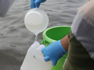 Fakta Terbaru Paracetamol di Laut Jakarta Fakta Terbaru Paracetamol di Laut Jakarta