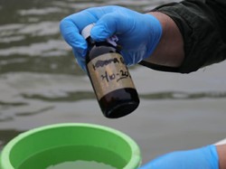 Laut Jakarta Tercemar Paracetamol, Efek Pada Manusia Bagaimana?