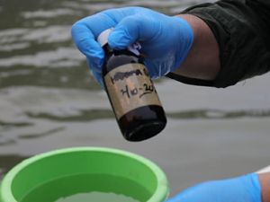 Ini 7 Dugaan Sumber Pencemaran Paracetamol di Laut Jakarta Menurut IPB Ini 7 Dugaan Sumber Pencemaran Paracetamol di Laut Jakarta Menurut IPB