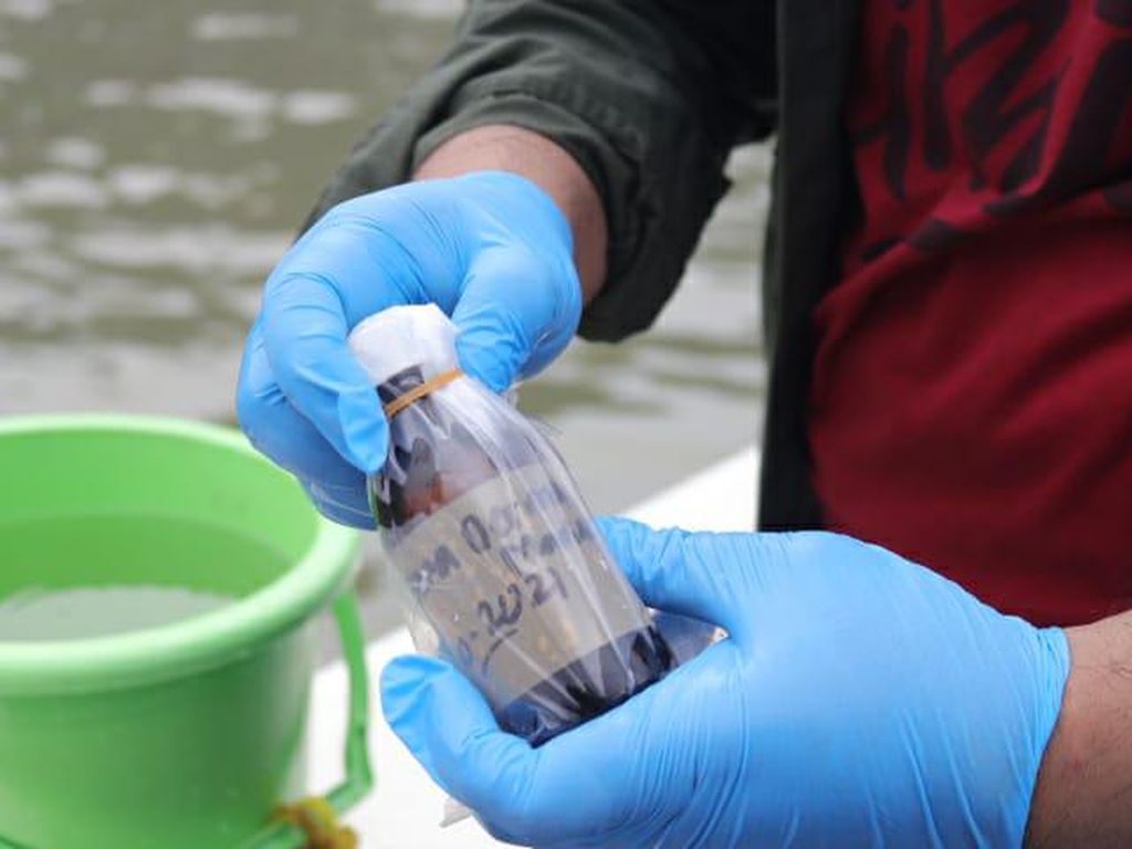 Belum Ada Denda, Sumber Pencemaran Paracetamol di Teluk Jakarta Cuma Ditegur