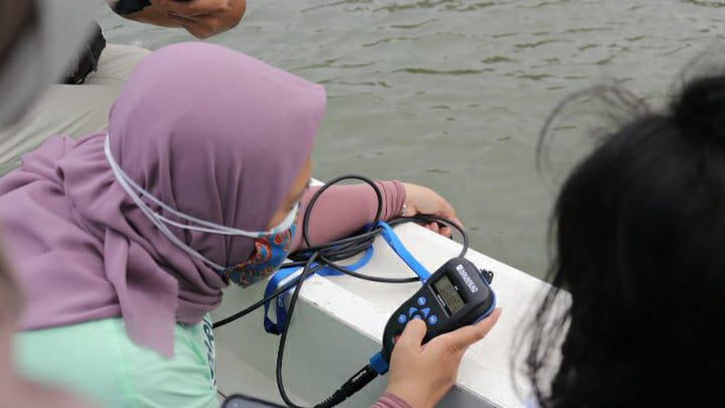Momen DLH Ambil Sampel Air Tercemar Paracetamol di Teluk Jakarta