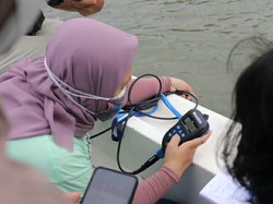 Usut Paracetamol Cemari Teluk Jakarta, DKI Akan Uji Sampel Ikan Lagi