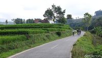 Nanjak Syahdu di Sumedang, Disambut Sawah Berundak Layaknya Bali