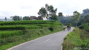 Nanjak Syahdu di Sumedang, Disambut Sawah Berundak Layaknya Bali