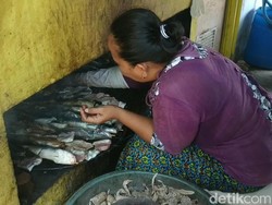 Cuan Ikan Asap Pasuruan Bertahan di Tengah Pandemi, Sebulan Omzet Rp 30 Juta