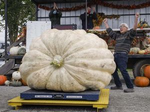 Ini Dia Pemenang Kompetisi Labu Raksasa di Kanada