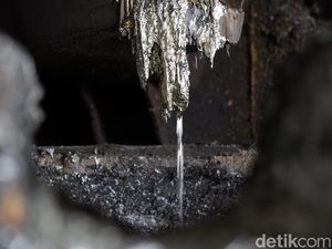 RI Punya Harta Karun Terbesar ke-2 di Dunia, Jumlahnya 800 Ribu Ton!