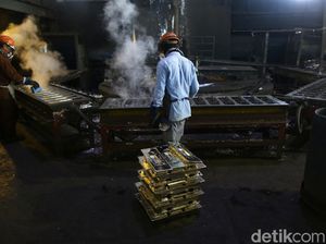 RI Punya Harta Karun Terbesar ke-2 di Dunia, Tapi...