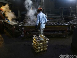 RI Punya Harta Karun Terbesar ke-2 di Dunia, Tapi...