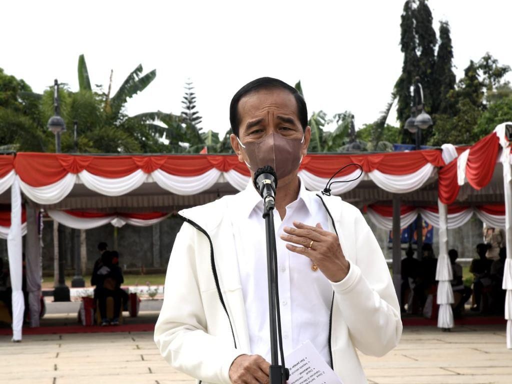 Jokowi: Kebutuhan Jagung untuk Pangan dan Ternak Perlu Tambahan Jokowi: Kebutuhan Jagung untuk Pangan dan Ternak Perlu Tambahan