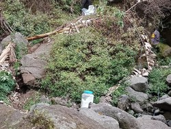 Dar! Detik-detik Bom Mother of Satan di Ciremai Dimusnahkan