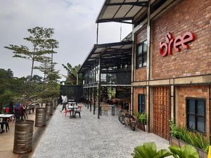 Kafe Ini Tawarkan Sensasi Minum Kopi dengan View Gunung Salak Kafe Ini Tawarkan Sensasi Minum Kopi dengan View Gunung Salak