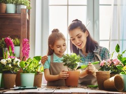 5 Tren Tanaman Hias 2022, Wajib Dilirik untuk yang Hobi Berkebun