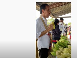 Saat Jokowi Jajan Jagung di Pinggir Jalan Bareng Puan