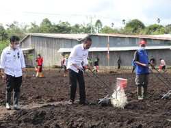 Mentan: Papua Barat Punya Potensi 11 Ribu Hektar Lahan untuk Jagung