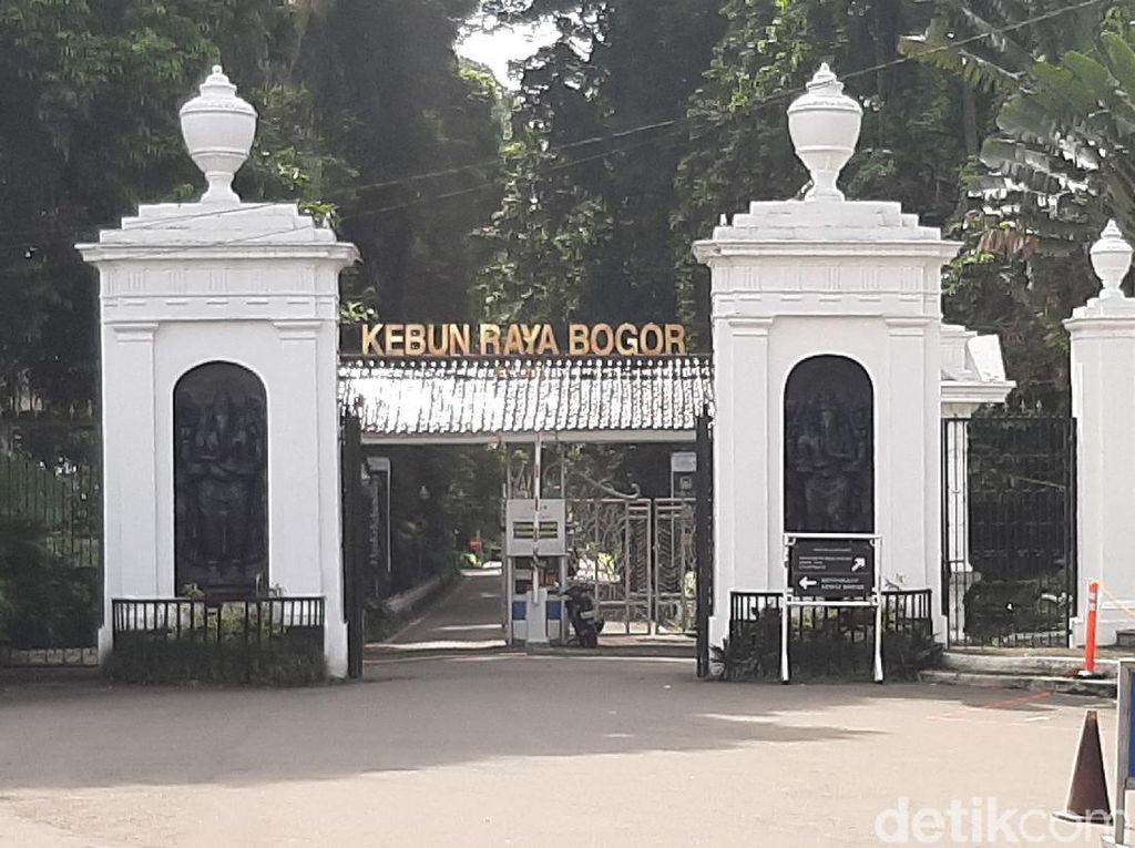 Kebun Raya Bogor, dari Zaman Pajajaran Sampai Ingin Diajukan Status UNESCO Kebun Raya Bogor, dari Zaman Pajajaran Sampai Ingin Diajukan Status UNESCO