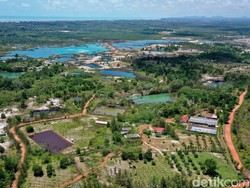 3 Anggota MIND ID Raih Proper Emas Terkait Manajemen Lingkungan