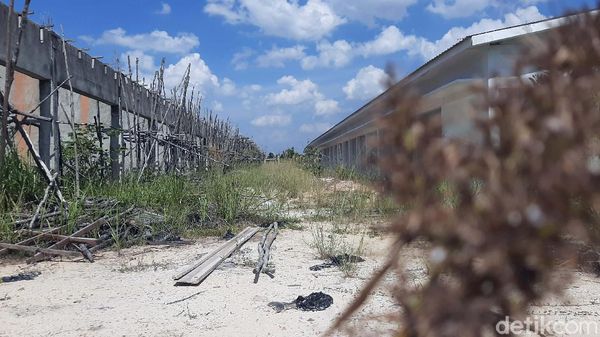 Mangkrak! Proyek Pasar Induk Pekanbaru Penuh Semak Belukar
