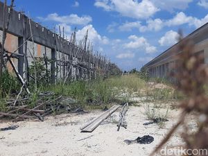 Mangkrak! Proyek Pasar Induk Pekanbaru Penuh Semak Belukar Mangkrak! Proyek Pasar Induk Pekanbaru Penuh Semak Belukar