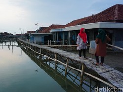 Menengok Kampung Rumah Panggung di Demak yang Tergenang Rob