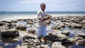 Potret Mantan Akuntan yang Kini Jadi Penyelamat Penyu di Kenya