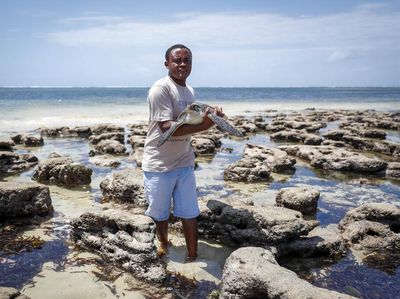 Potret Mantan Akuntan yang Kini Jadi Penyelamat Penyu di Kenya