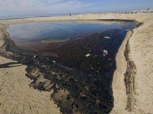 Potret Tumpahan Minyak yang Cemari Pantai di California