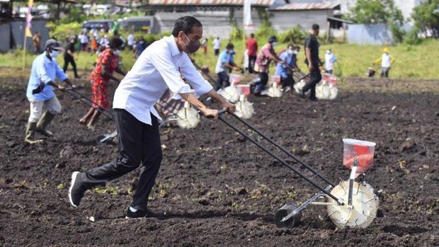 Presiden Joko Widodo menanam jagung di Kelurahan Klamesen, Kabupaten Sorong, Papua Barat, Senin (4/10/2021). ANTARA/HO-Agus Suparto