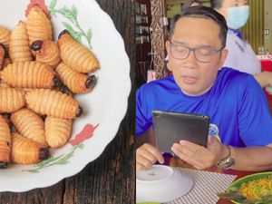 Ridwan Kamil Tantang Bima Arya dan Hengky Kurniawan Cicip Ulat Sagu, Ini Reaksinya Ridwan Kamil Tantang Bima Arya dan Hengky Kurniawan Cicip Ulat Sagu, Ini Reaksinya