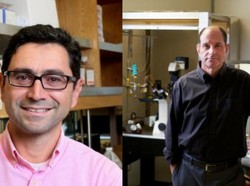 2 Ilmuwan AS Raih Nobel Kedokteran 2021, Apa Temuannya?