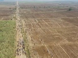 Jabar Hari Ini: Anggota DPRD Terlibat Bentrok Petani-Eks Sekda Banten Jadi Staf BKD