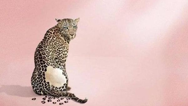 Iklan Kreatif, Dijamin Bikin Kepala Noleh!