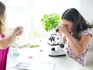 Pengertian Protozoa, Ciri-ciri, dan Klasifikasinya Pengertian Protozoa, Ciri-ciri, dan Klasifikasinya