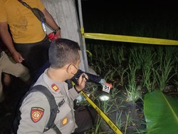 Senjata Makan Tuan, Jebakan Tikus Listrik Tewaskan Pemilik Sawah di Ngawi