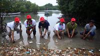 JMI-IFG Tanam Mangrove di Pulau Tunda