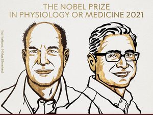 Temukan Reseptor Sentuhan-Suhu Pada Manusia, 2 Ilmuwan AS Raih Nobel Temukan Reseptor Sentuhan-Suhu Pada Manusia, 2 Ilmuwan AS Raih Nobel