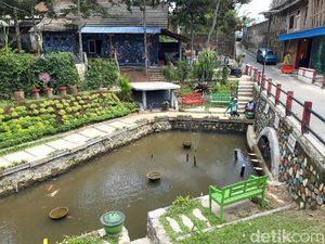 Keren! Warga di Boyolali Sulap TPS Sementara Jadi Taman Cantik