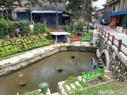 Keren! Warga di Boyolali Sulap TPS Sementara Jadi Taman Cantik