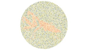 8 Tes Buta Warna Ini Bikin Mata Kelabakan, Bisa Temukan Serangga Tersembunyi?