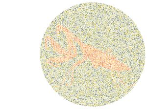 8 Tes Buta Warna Ini Bikin Mata Kelabakan, Bisa Temukan Serangga Tersembunyi?