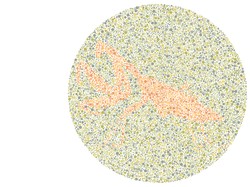 8 Tes Buta Warna Ini Bikin Mata Kelabakan, Bisa Temukan Serangga Tersembunyi?