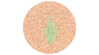 Bisa Lihat Serangga di Gambar Ini? Tandanya Kamu Tidak Buta Warna