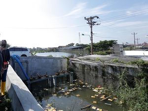Masuk Musim Hujan, Pelebaran Drainase di Semarang Dikebut