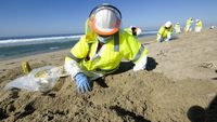 Aksi Bersih-bersih Pantai California dari Tumpahan Minyak