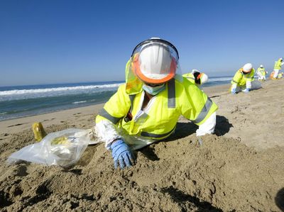 Aksi Bersih-bersih Pantai California dari Tumpahan Minyak