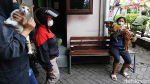 Keriuhan Anjing dan Kucing Saat Disuntik Vaksin Rabies