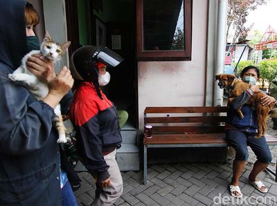 Keriuhan Anjing dan Kucing Saat Disuntik Vaksin Rabies