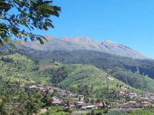 Hari Pertama Buka di Masa PPKM, Ada 16 Pendaki Naik ke Merbabu