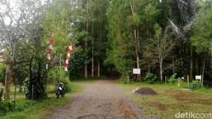 Jelajah Perbatasan Sumedang-Garut-Bandung di Gunung Masigit Kareumbi