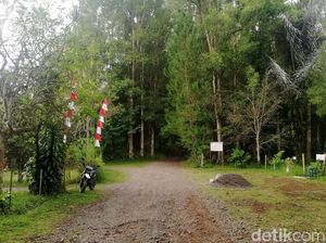 Jelajah Perbatasan Sumedang-Garut-Bandung di Gunung Masigit Kareumbi